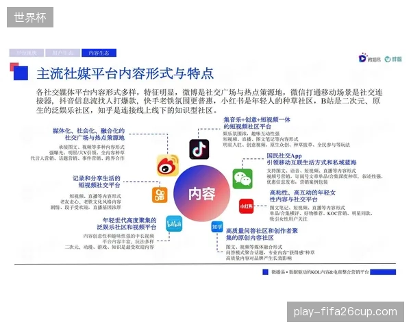 社交媒体与粉丝数据平台互通 实现精准用户洞察